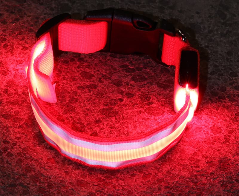 Coleira LED para Passeio em detalhe