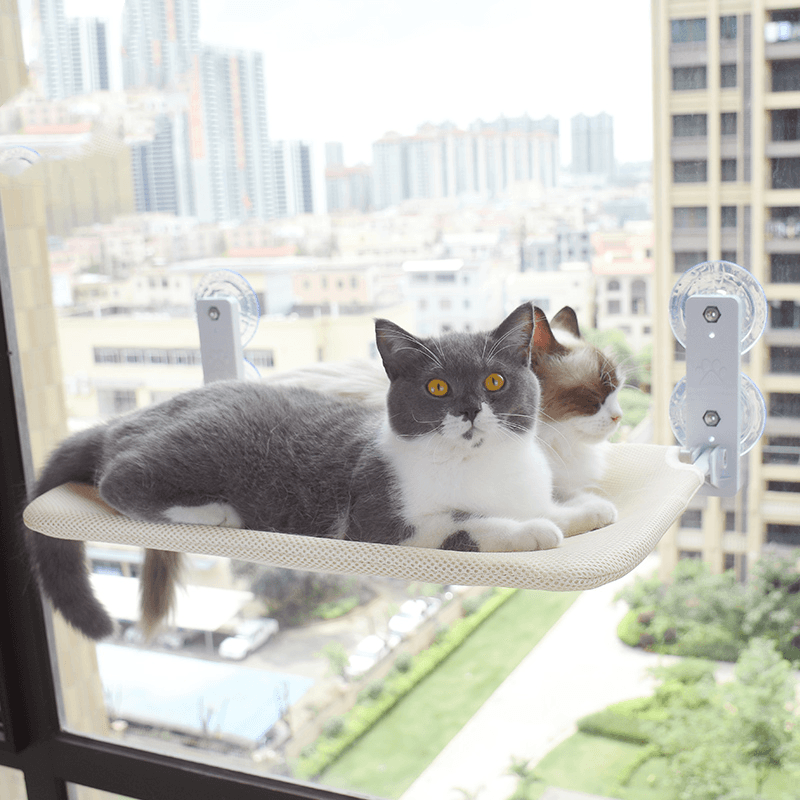 Prateleira de Janela para Gatos