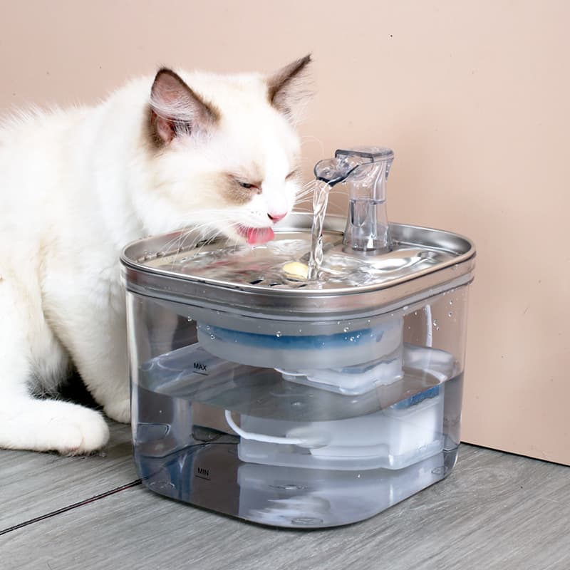 Fonte Inox Automática Pet em detalhe