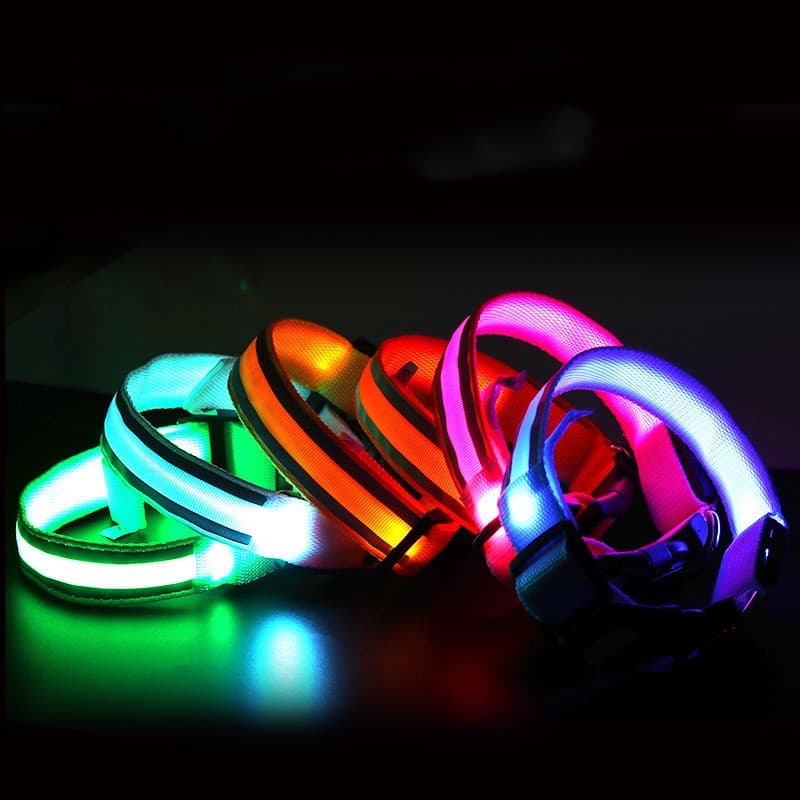 Coleira LED para Passeio