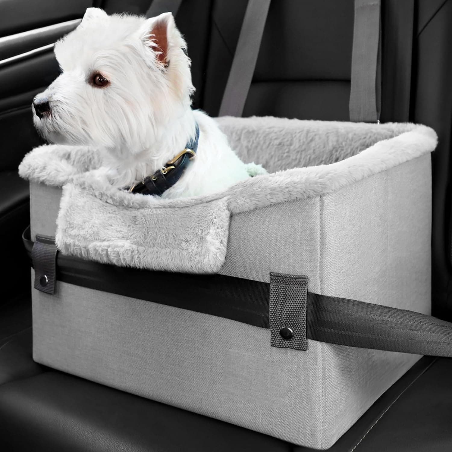 Cadeirinha de Carro Pet
