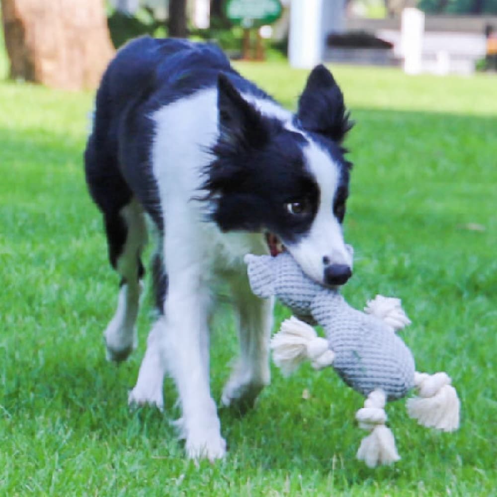 Mordedor Interativo Elefante em detalhe