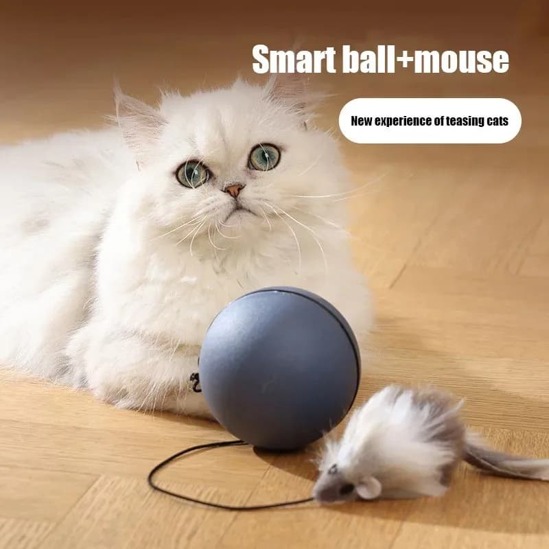 Bolinha Rato Automática